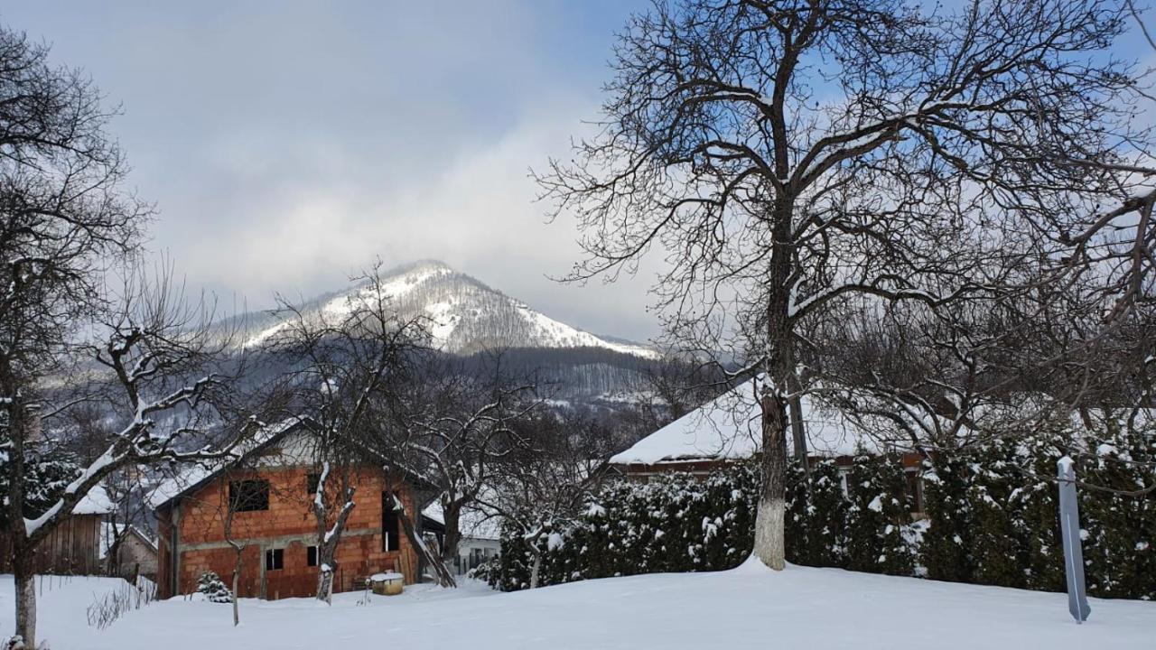 Casa Mea De Vacanta Бая-Сприе Экстерьер фото